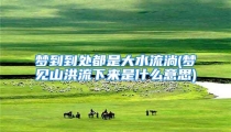 梦到到处都是大水流淌(梦见山洪流下来是什么意思)