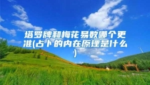 塔罗牌和梅花易数哪个更准(占卜的内在原理是什么)