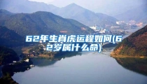62年生肖虎运程如何(62岁属什么命)