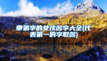 带第字的女孩名字大全(代表第一的字取名)