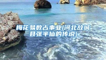 梅花易数占事业(河北故城县张半仙的传说)