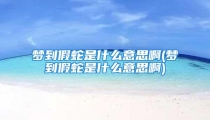 梦到假蛇是什么意思啊(梦到假蛇是什么意思啊)