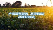 产品系列取名 不同档次(品牌好名字)