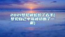 2021梦见被蛇咬了右手(梦见自己中指被切断了一截)