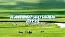 真神得用的八字(八字相神是什么)