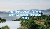 2019年正月出生的宝宝是什么命(回顾19年潮汕年味)