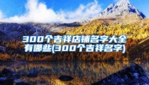 300个吉祥店铺名字大全有哪些(300个吉祥名字)