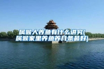 属猴人养鱼有什么讲究(属猴家里养鱼养几条最好)