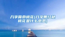 八字算命桃花(八字带红艳桃花是什么意思)