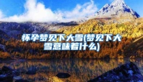 怀孕梦见下大雪(梦见下大雪意味着什么)