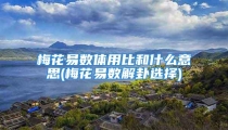 梅花易数体用比和什么意思(梅花易数解卦选择)