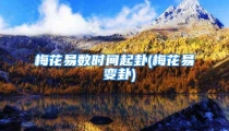 梅花易数时间起卦(梅花易 变卦)