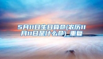 5月11日生日算命(农历11月11日是什么命)_重复