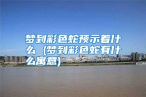 梦到彩色蛇预示着什么 (梦到彩色蛇有什么寓意)