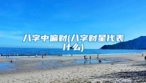 八字中偏财(八字财星代表什么)