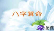 八字算命命运一定不会变吗(看看命运八字)