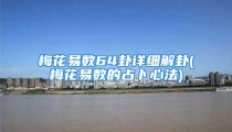梅花易数64卦详细解卦(梅花易数的占卜心法)