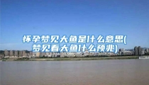 怀孕梦见大鱼是什么意思(梦见看大鱼什么预兆)