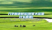 八字断语财运(财官大运是什么意思)