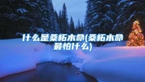 什么是桑柘木命(桑柘木命最怕什么)