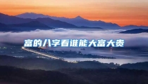 富的八字看谁能大富大贵