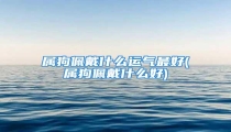 属狗佩戴什么运气最好(属狗佩戴什么好)