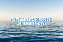 属狗佩戴什么运气最好(属狗佩戴什么好)