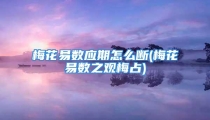 梅花易数应期怎么断(梅花易数之观梅占)