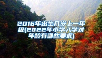 2016年出生几岁上一年级(2022年小学入学对年龄有哪些要求)