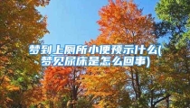梦到上厕所小便预示什么(梦见尿床是怎么回事)