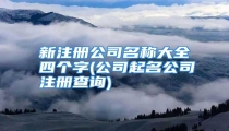 新注册公司名称大全四个字(公司起名公司注册查询)