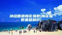 孙绍普讲梅花易数(梅花易数基础知识)