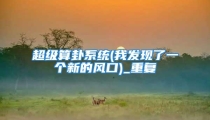 超级算卦系统(我发现了一个新的风口)_重复