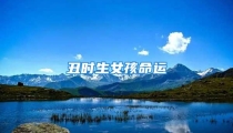 丑时生女孩命运