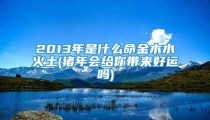2013年是什么命金木水火土(猪年会给你带来好运吗)