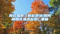 梅花易数三数起卦法(如何用梅花易术起卦)_重复