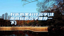 好听的黑科技名字(注册商标的名字推荐一下)