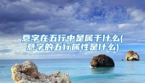 意字在五行中是属于什么(意字的五行属性是什么)