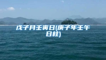 戊子月壬寅日(庚子年壬午日柱)
