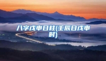 八字戊申日柱(壬辰日戊申时)
