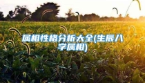 属相性格分析大全(生辰八字属相)