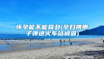 怀孕能不能算卦(孕妇携带子弹进火车站被查)
