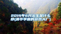 2014年6月出生是什么命(清华学霸的游戏大厂)