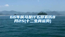 66年属马是什么命农历8月25(十二生肖运势)