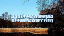 2021年财位在哪里(2021年偏财位在哪个方向)