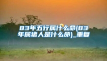 83年五行属什么命(83年属猪人是什么命)_重复