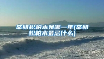 辛卯松柏木是哪一年(辛卯松柏木最忌什么)