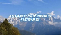 88年属什么(夜班瞌睡闯红灯酿悲剧)