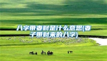 八字带妻财是什么意思(妻子带财来的八字)