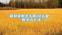 算卦余数怎么取(什么是“数字占卜法”)
